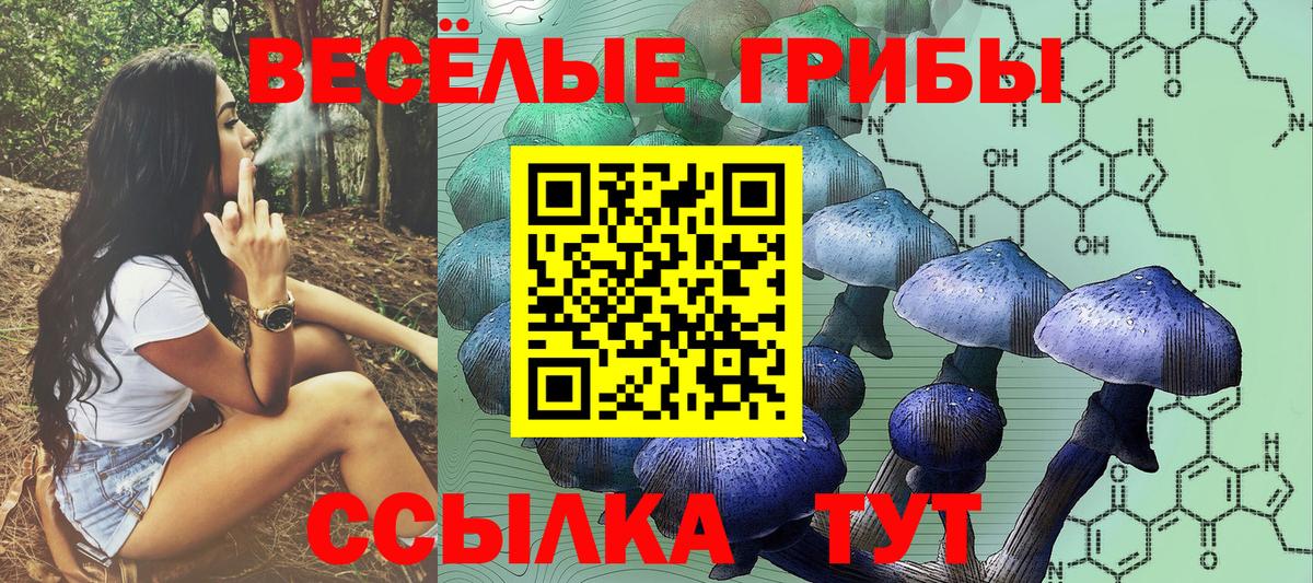 Заводоуковск  Галлюциногенные грибы ЛСД  Псилоцибиновые грибы прущие грибы  Вход с VPN 